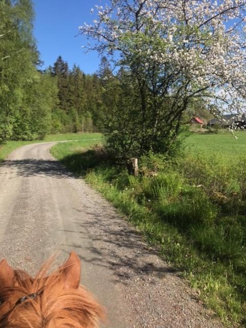 Stenlid - Med Naturen Och Lugnet I Fokus Veddige Eksteriør bilde